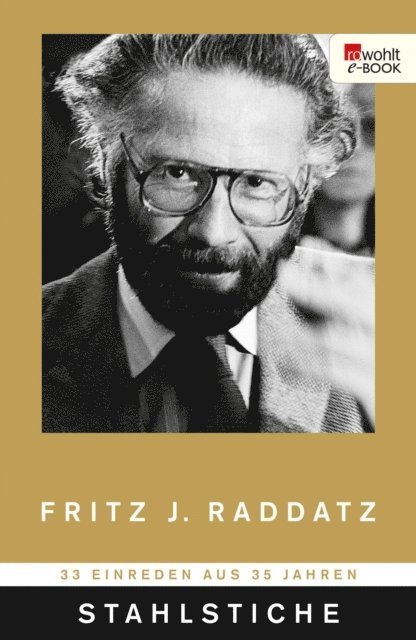 Fritz J. Raddatz - Stahlstiche, E-bok