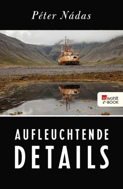 Peter Nadas - Aufleuchtende Details, E-bok
