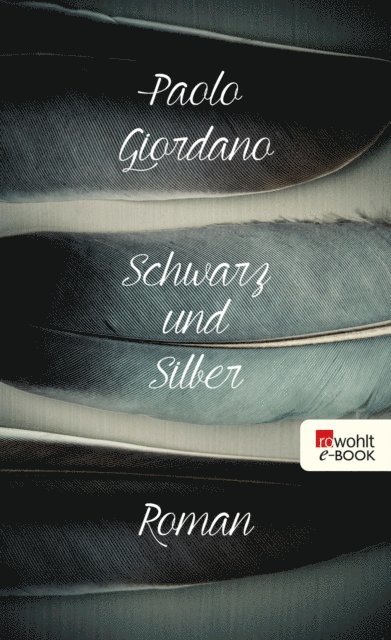 Paolo Giordano - Schwarz und Silber, E-bok