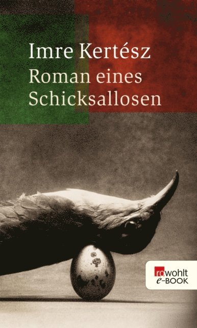 Imre Kertesz - Roman eines Schicksallosen, E-bok
