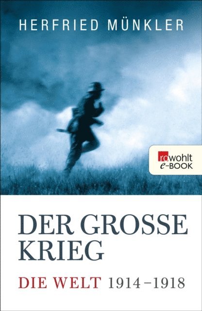 Herfried Munkler - Der Große Krieg, E-bok