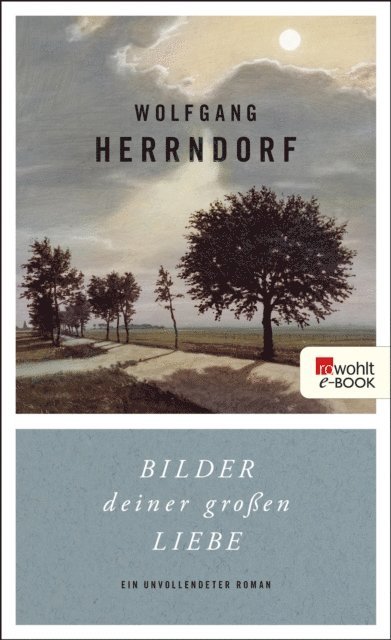 Wolfgang Herrndorf - Bilder deiner großen Liebe, E-bok