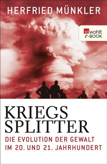 Herfried Munkler - Kriegssplitter, E-bok