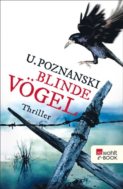 Ursula Poznanski - Blinde Vögel, E-bok