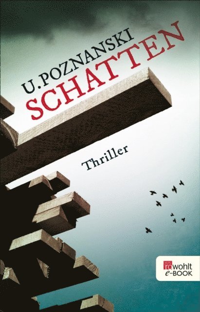 Ursula Poznanski - Schatten, E-bok