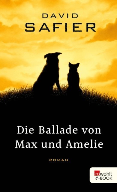 David Safier - Die Ballade von Max und Amelie, E-bok