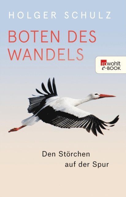 Holger Schulz - Boten des Wandels, E-bok