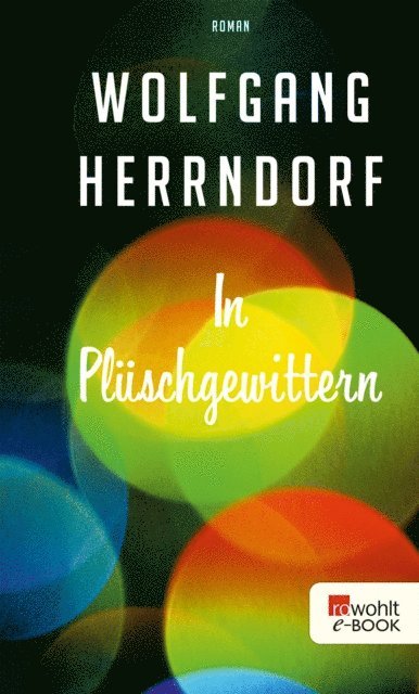Wolfgang Herrndorf - In Plüschgewittern, E-bok