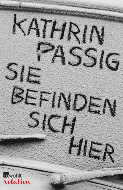 Kathrin Passig - Sie befinden sich hier, E-bok