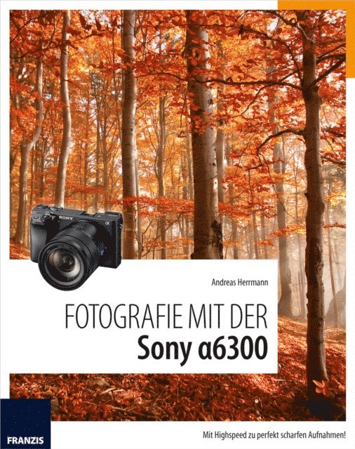 Andreas Hermann - Fotografie mit der Sony Alpha 6300, E-bok