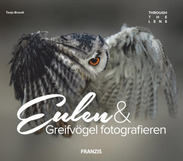 Tanja Brandt - Eulen & Greifvögel fotografieren, E-bok