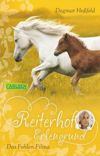 Dagmar Hofeld - Reiterhof Erlengrund 4: Das Fohlen Filina, E-bok