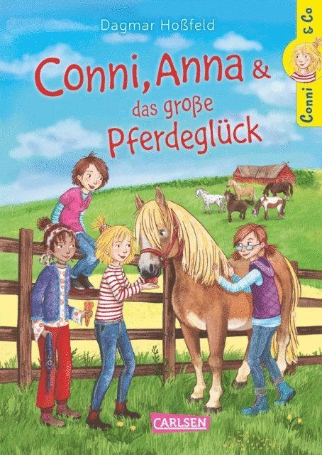 Dagmar Hofeld - Conni & Co 18: Conni, Anna und das große Pferdeglück, E-bok