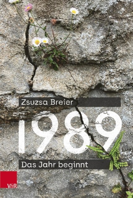 Zsuzsa Breier - 1989, E-bok
