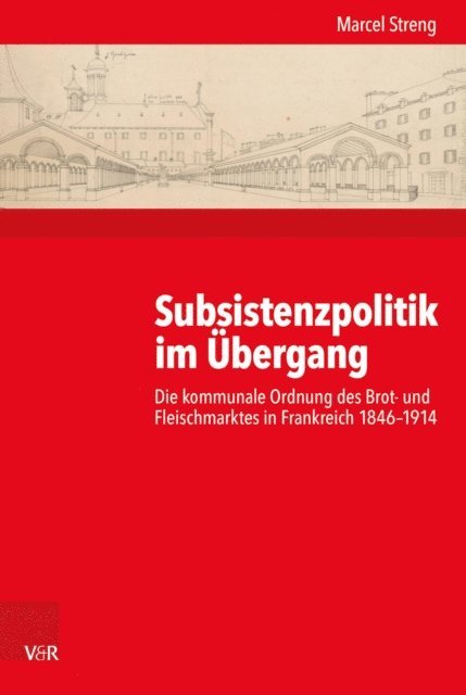 Marcel Streng - Subsistenzpolitik im Übergang, E-bok