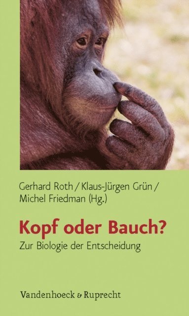 Michel Friedman, Klaus-Jurgen Grun, Gerhard Roth - Kopf oder Bauch?, E-bok
