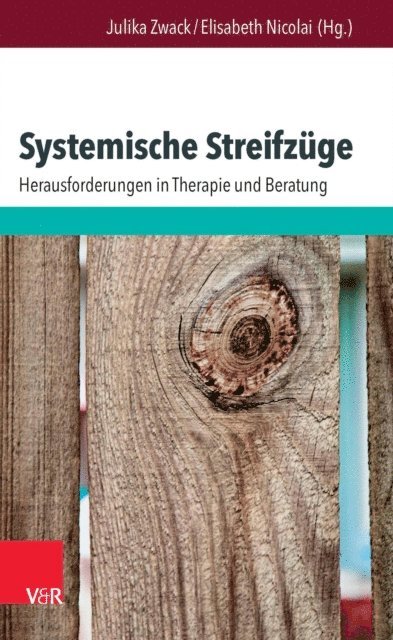 Elisabeth Nicolai, Julika Zwack - Systemische Streifzüge, E-bok