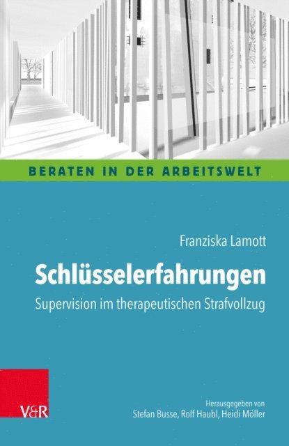 Franziska Lamott - Schlüsselerfahrungen: Supervision im therapeutischen Strafvollzug, E-bok