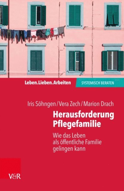Marion Drach, Vera Zech, Iris Sohngen - Herausforderung Pflegefamilie, E-bok