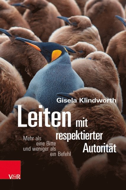 Gisela Klindworth - Leiten mit respektierter Autorität, E-bok