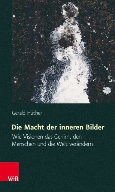Gerald Huther - Die Macht der inneren Bilder, E-bok