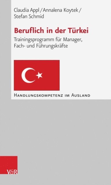 Stefan Schmid, Annalena Koytek, Claudia Appl - Beruflich in der Türkei, E-bok