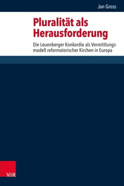 Jan Gross - Pluralität als Herausforderung, E-bok