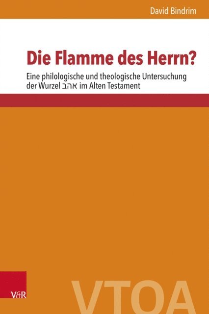 David Bindrim - Die Flamme des Herrn?, E-bok