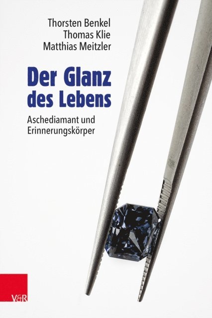Matthias Meitzler, Thomas Klie, Thorsten Benkel - Der Glanz des Lebens, E-bok