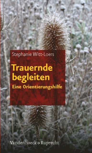 Stephanie Witt-Loers - Trauernde begleiten, E-bok