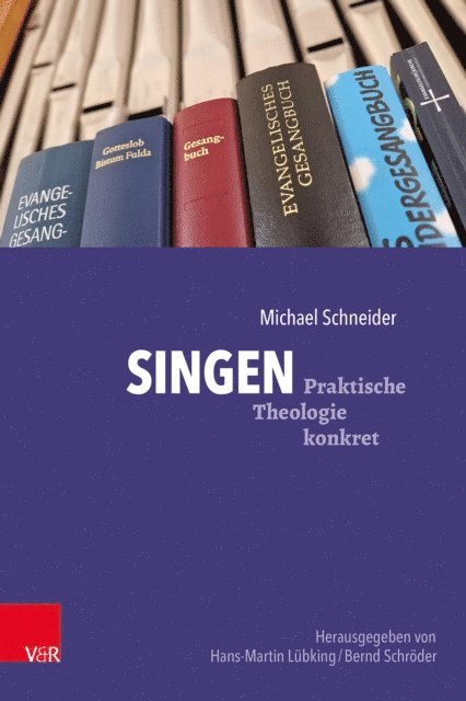Michael Schneider - Singen, E-bok