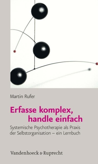 Martin Rufer - Erfasse komplex, handle einfach, E-bok