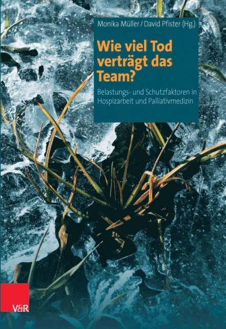 David Pfister, Monika Muller, David Pfister - Wie viel Tod verträgt das Team?, E-bok