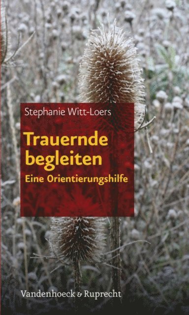 Stephanie Witt-Loers - Trauernde begleiten, E-bok