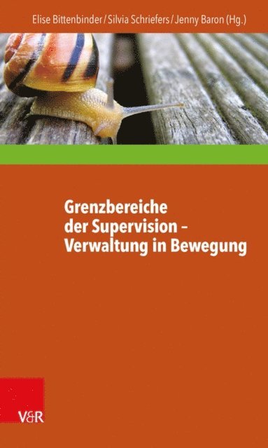 Jenny Baron, Silvia Schriefers, Elise Bittenbinder - Grenzbereiche der Supervision – Verwaltung in Bewegung, E-bok