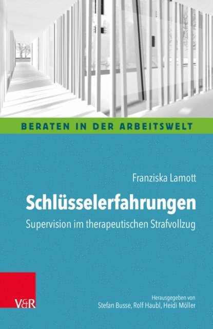 Franziska Lamott - Schlüsselerfahrungen: Supervision im therapeutischen Strafvollzug, E-bok