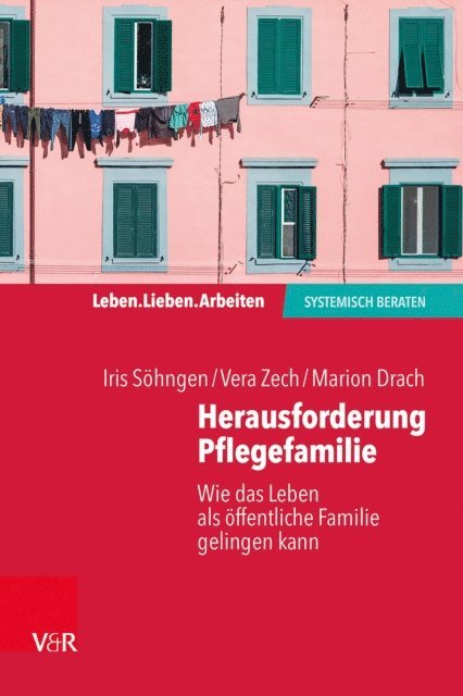 Marion Drach, Vera Zech, Iris Sohngen - Herausforderung Pflegefamilie, E-bok