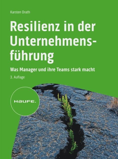 Karsten Drath - Resilienz in der Unternehmensführung, E-bok