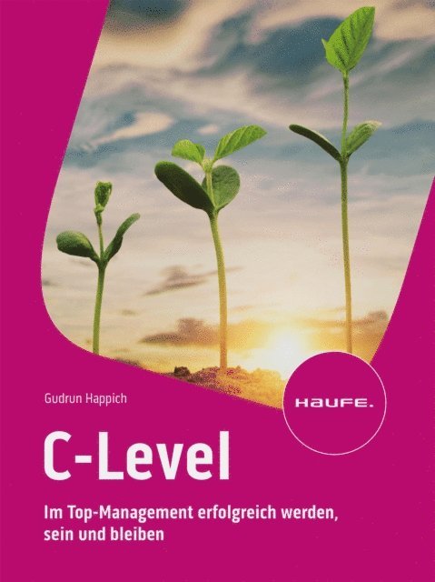 Gudrun Happich - C-Level, E-bok