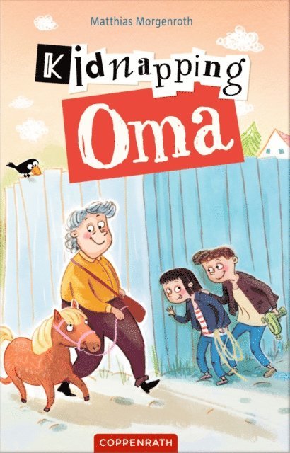 Matthias Morgenroth - Kidnapping Oma, E-bok