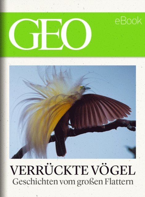GEO, GEO eBook, GEO Magazin - Verrückte Vögel: Geschichten vom großen Flattern (GEO eBook), E-bok
