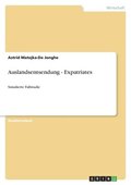 Auslandsentsendung - Expatriates