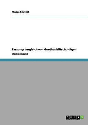 Florian Schmidt - Fassungsvergleich von Goethes Mitschuldigen, Häftad