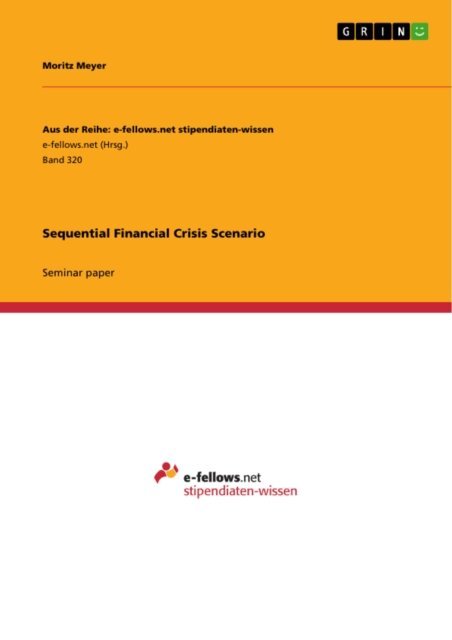 Moritz Meyer - Sequential Financial Crisis Scenario, E-bok