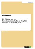 Bilanzierung von Umweltschutzmaßnahmen - Vergleich zwischen HGB und IAS/IFRS