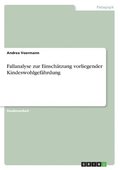 Fallanalyse zur Einsch�tzung vorliegender Kindeswohlgef�hrdung