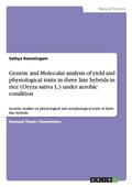 Genetic and Molecular Analysis of Yield and Physiological Traits in Three Line Hybrids in Rice (Oryza Sativa L.) Under Aerobic Condition