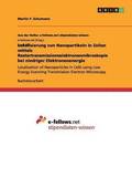 Lokalisierung von Nanopartikeln in Zellen mittels Rastertransmissionselektronenmikroskopie bei niedriger Elektronenenergie