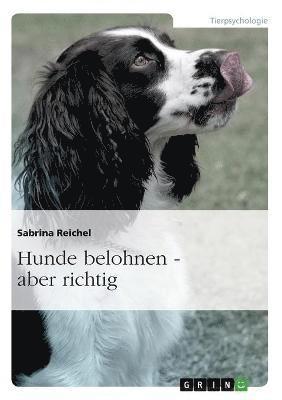 Sabrina Reichel - Hunde belohnen - aber richtig, Häftad. Tillgänglighet: Lägg i varukorg