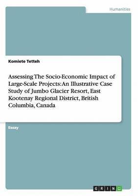 Komiete Tetteh - Assessing The Socio-Economic Impact of Large-Scale Projects, Häftad